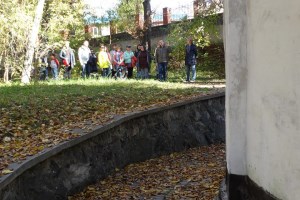 Зелений млинок, Кам'янка